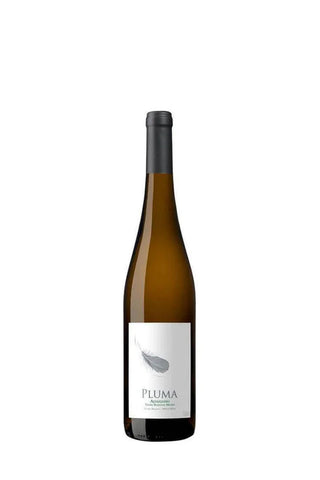 Pluma Alvarinho 2024